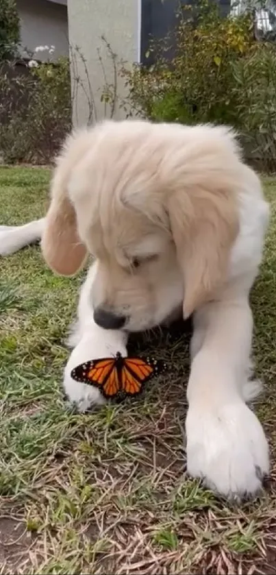 Adorable puppy playing with a butterfly in a garden.