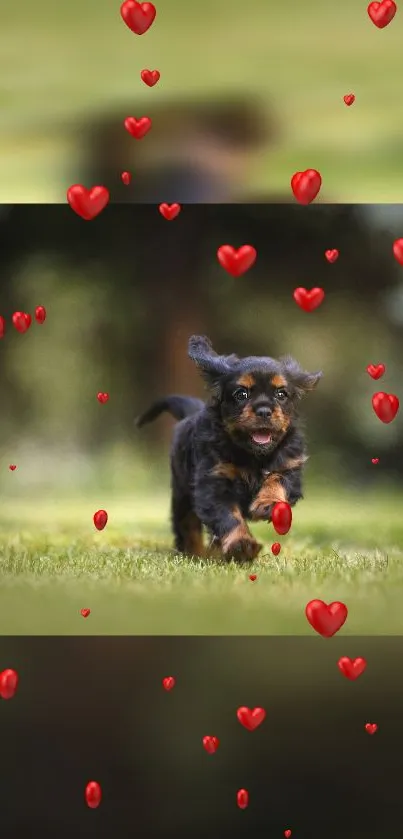 Playful puppy running with red hearts.