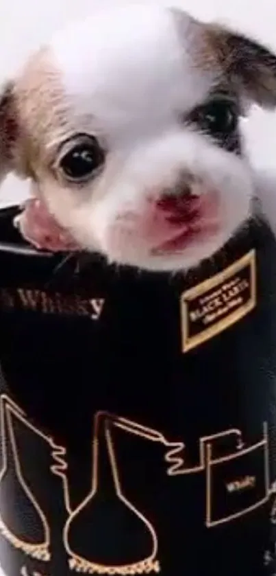 Adorable fluffy puppy peeking out from a black mug.