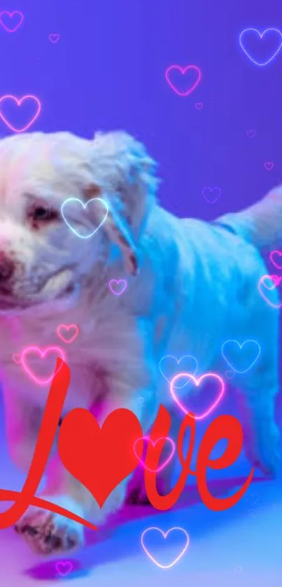 White puppy with hearts on blue background.
