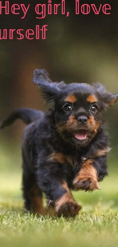 Energetic puppy with motivational text in green meadow.