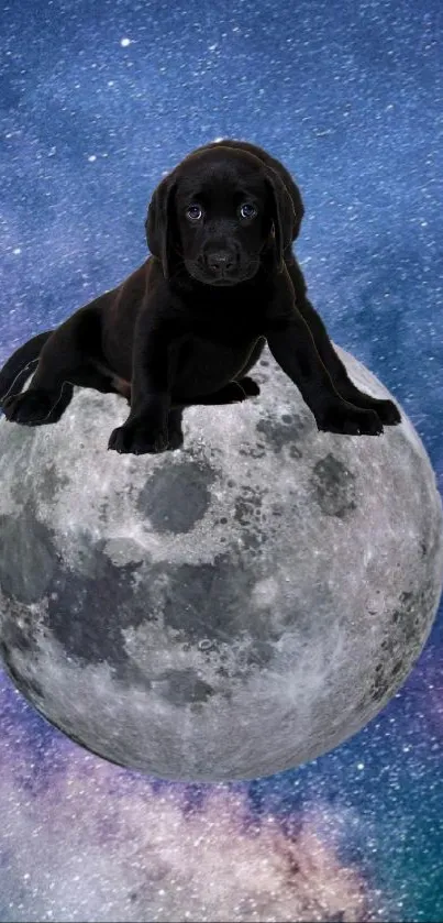 Black puppy on moon with galaxy background stars.