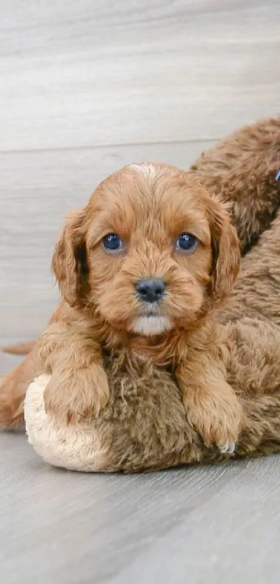 Cute puppy beside plush monkey on wooden floor.