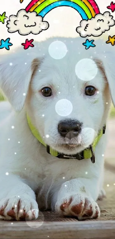 Adorable white puppy with rainbow headband on wooden floor.