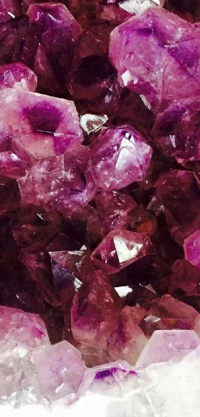 Close-up of purple amethyst crystals forming a stunning mobile wallpaper design.