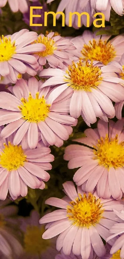 Vibrant purple and pink floral wallpaper with daisies.