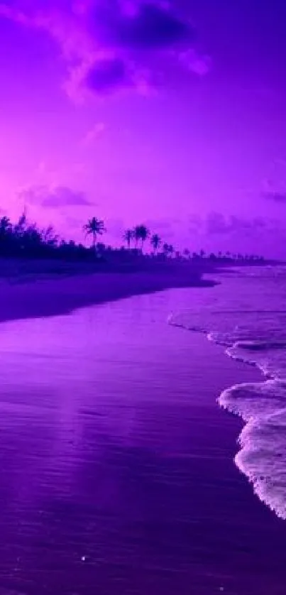 Purple sunset over a calm beach with waves.