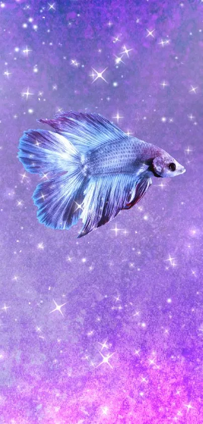 Purple Betta fish swimming in a vibrant, starry galaxy-themed background.