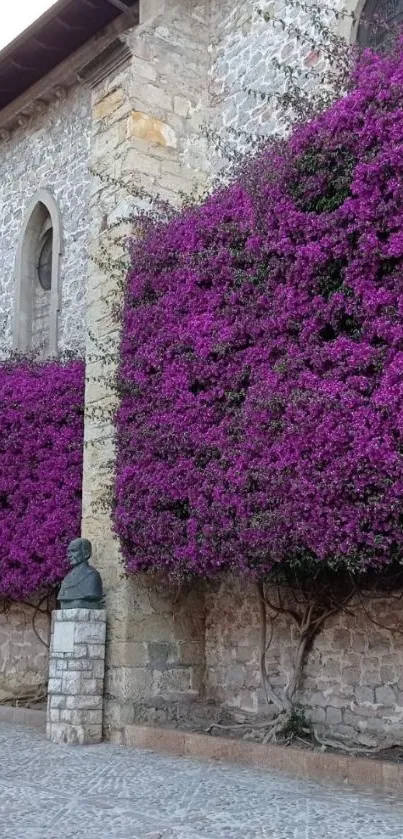 Purple flowers adorn a stone wall in stunning mobile wallpaper.