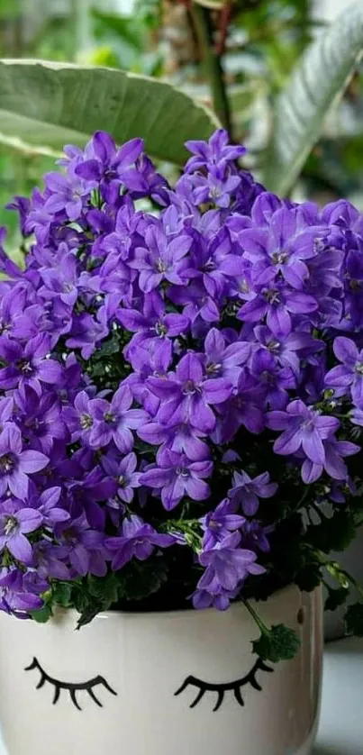 Charming pot with purple flowers and artistic eyes.