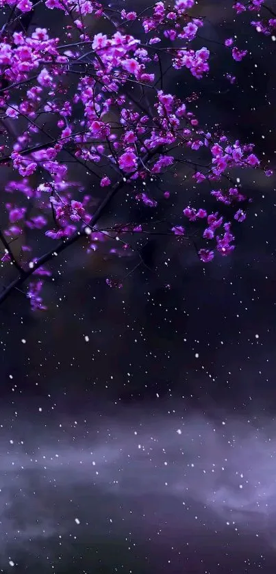 Purple blossoms with snowflakes on a dark background wallpaper.