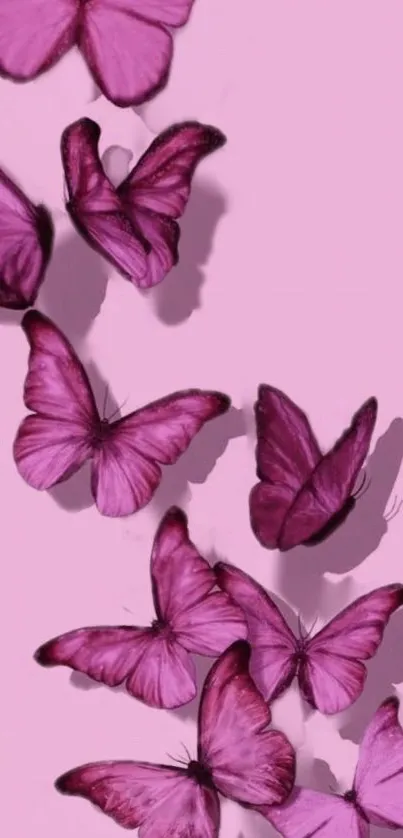 Purple butterflies pattern on pastel background.