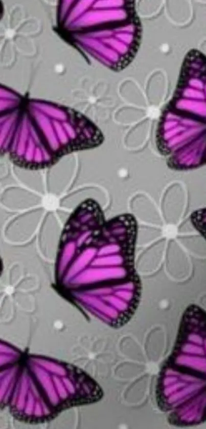 Purple butterflies with gray floral pattern wallpaper.