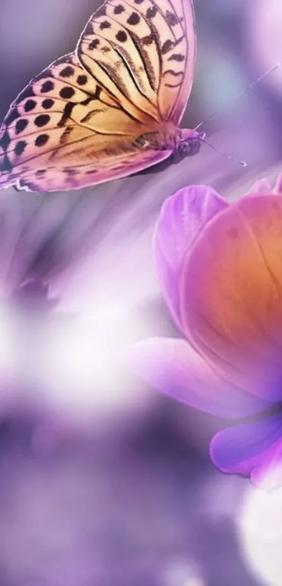 Purple butterfly on flower wallpaper with magical glow.