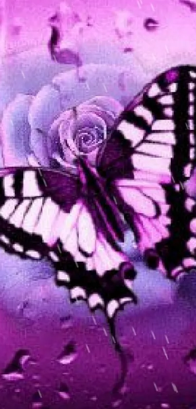 Purple butterfly on rose with vibrant hues.