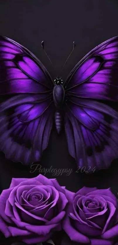 Purple butterfly and roses on dark background.