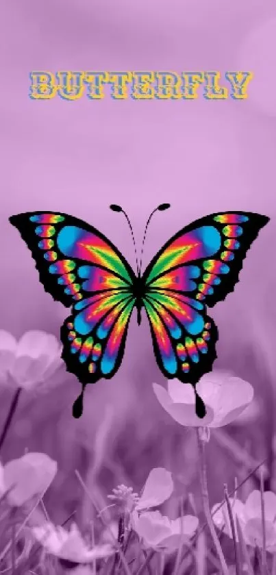 Colorful butterfly on a purple flower background wallpaper.