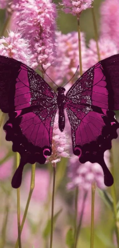 Purple butterfly amidst pink floral background.