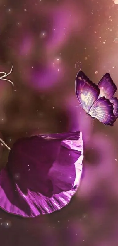 Purple butterfly on a flower in a dark, elegant setting.