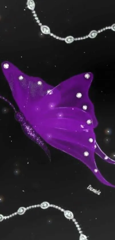 Elegant purple butterfly on black wallpaper.