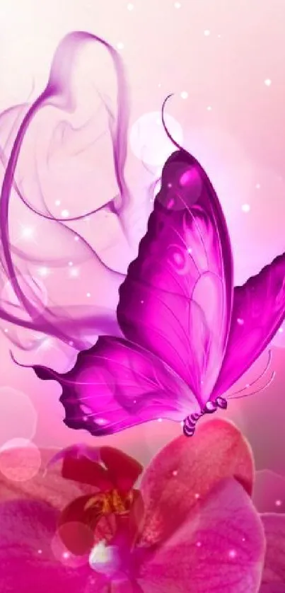 Purple butterfly and pink flowers wallpaper.