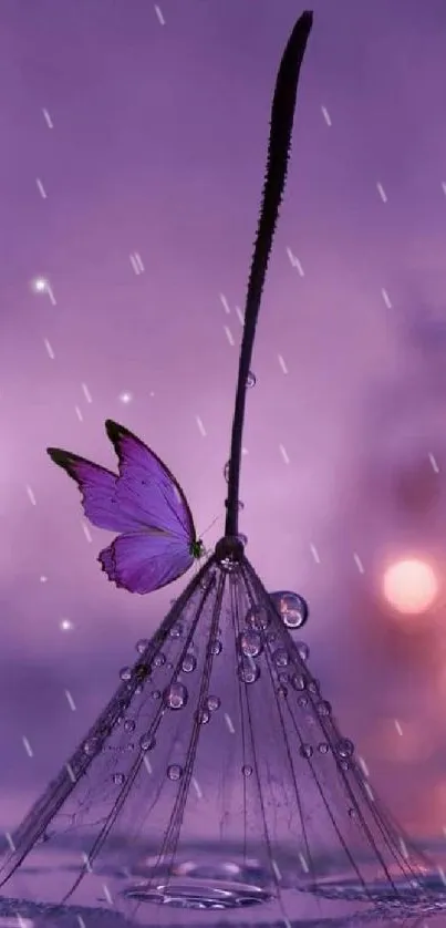 Purple butterfly on dewy umbrella with dreamy bokeh background.