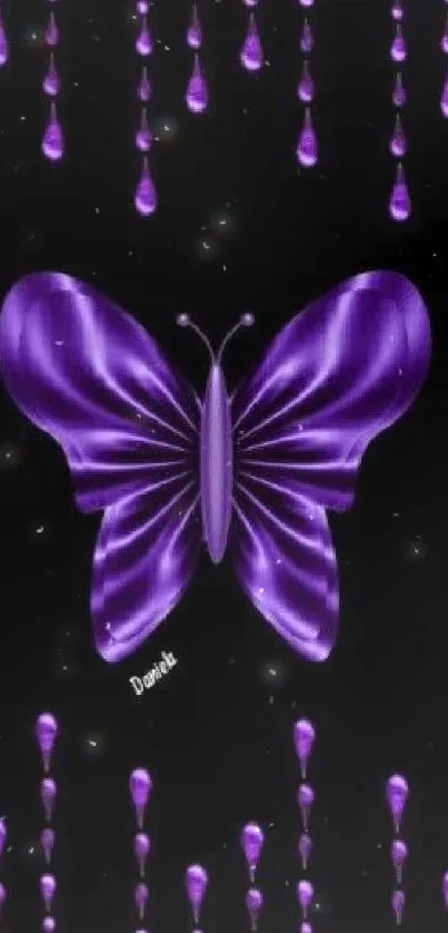 Purple butterfly with black background wallpaper.