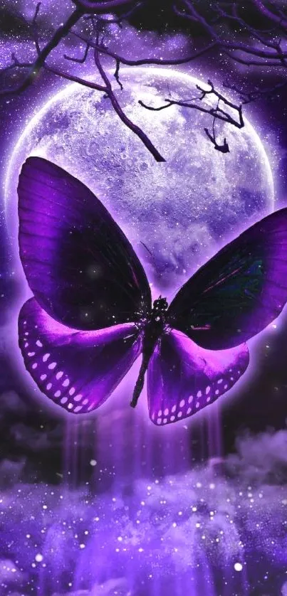 Purple butterfly under moonlight with starry sky.