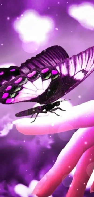 Purple butterfly resting on a finger with a floral backdrop.