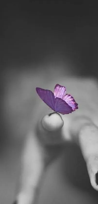 A vibrant purple butterfly rests on a monochrome hand in a minimalist wallpaper.