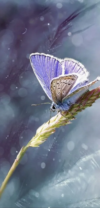 A serene butterfly perched delicately on a flower stem in natural setting.