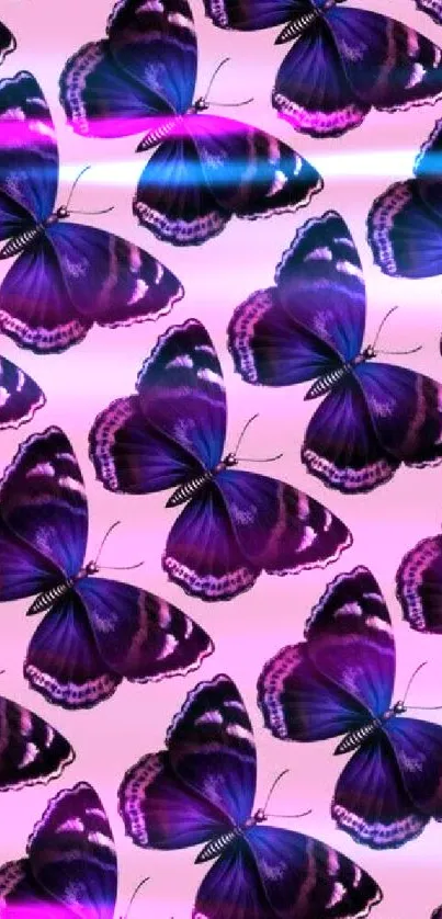 Vibrant purple butterfly pattern wallpaper on pink background.