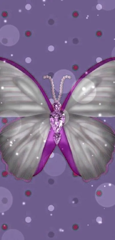 Purple butterfly on polka dot background wallpaper.