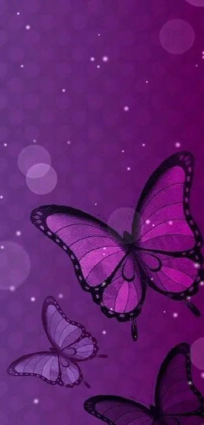 Purple butterfly wallpaper with elegant design.