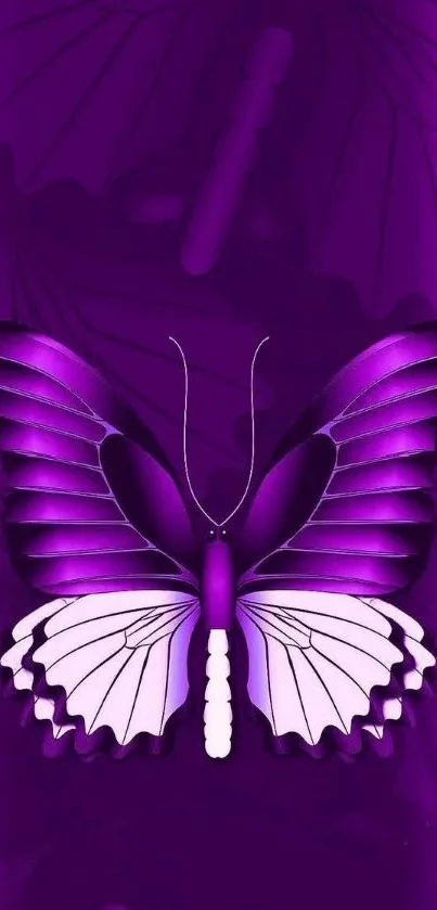 Purple butterfly design for mobile wallpaper.