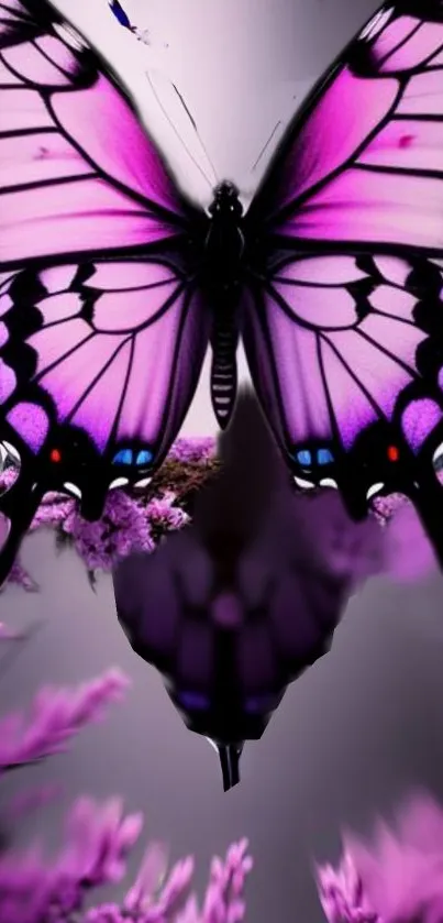 Purple butterfly with floral backdrop