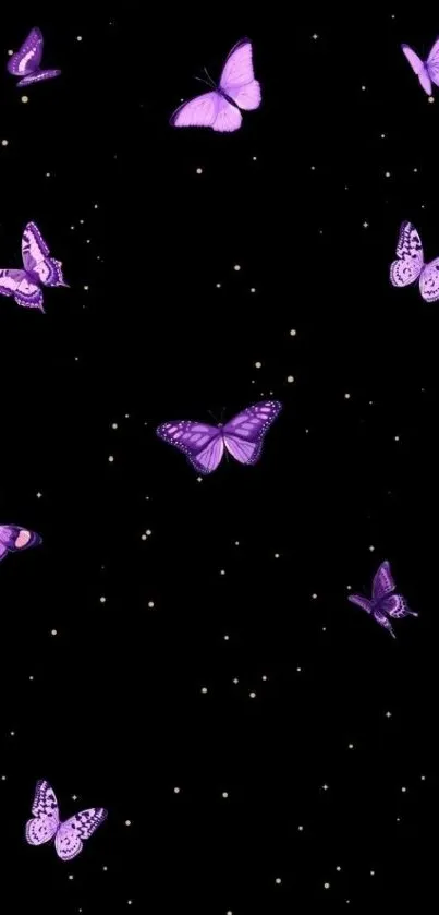 Purple butterflies on a black background wallpaper.