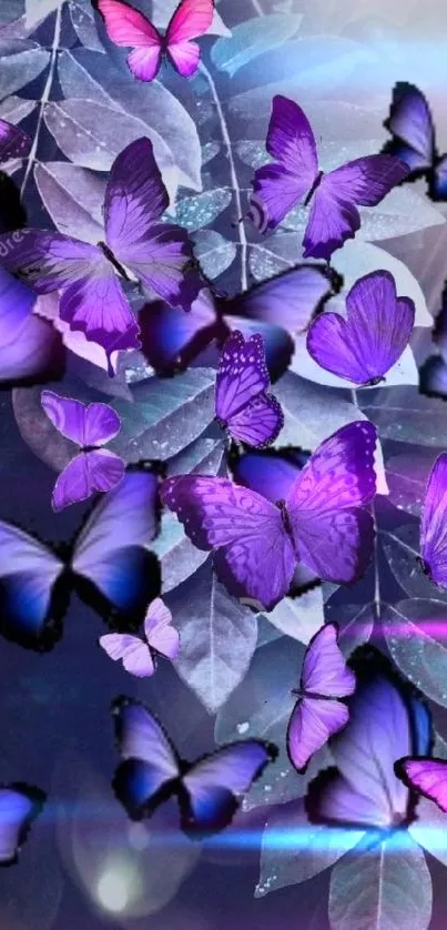 Purple butterflies on leafy background wallpaper.