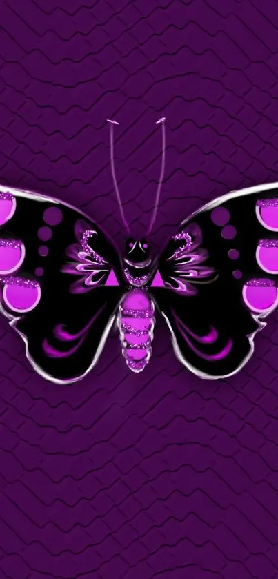 Purple butterfly wallpaper with intricate patterns and vibrant colors.