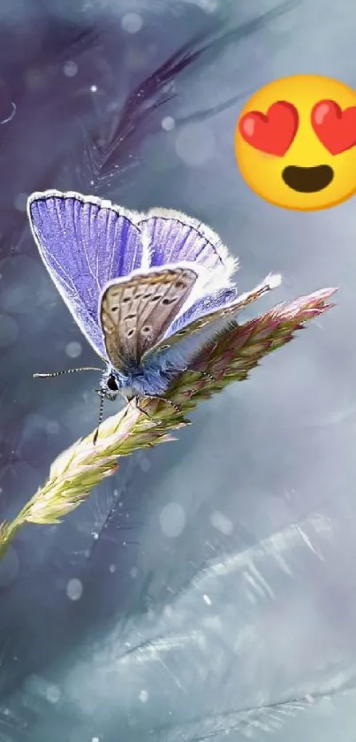 Purple butterfly on a flower with heart emoji.