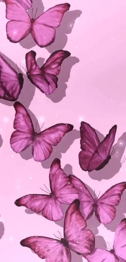 Purple butterflies on a pastel pink background creating a vibrant mobile wallpaper.