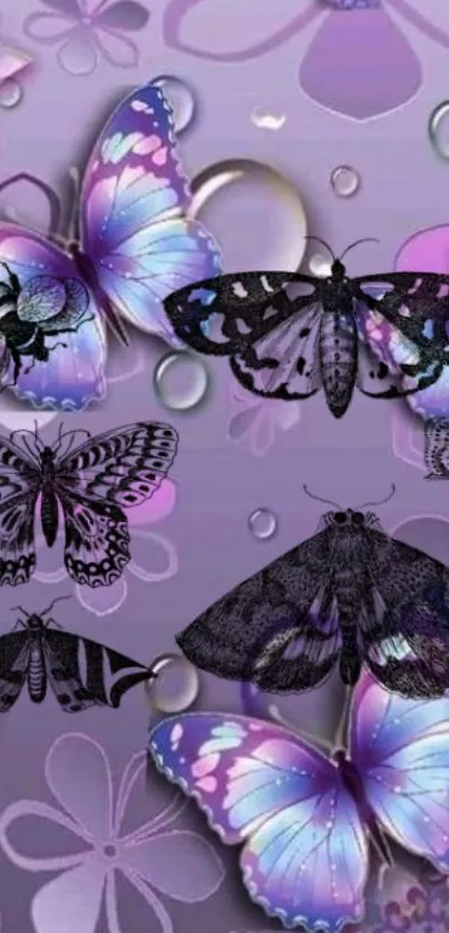 Purple butterflies and moths on an artistic floral background.