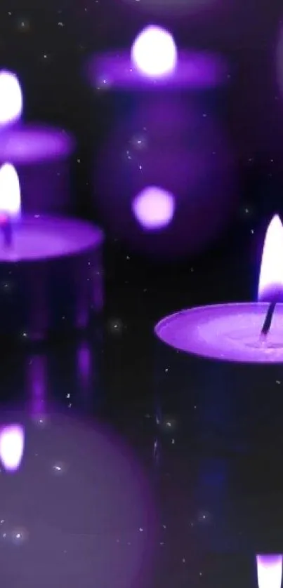 Purple candles glowing softly with reflections.