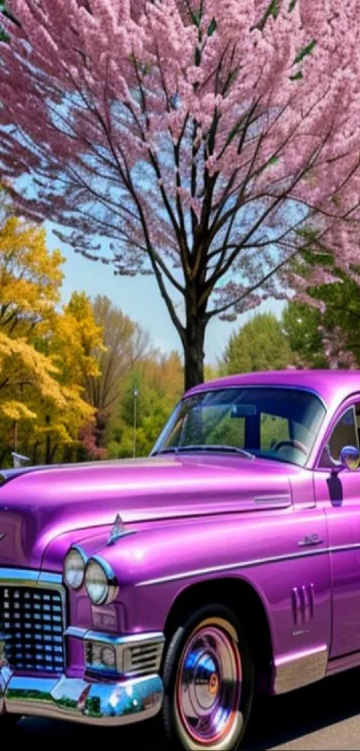 Purple vintage car under cherry blossoms with vibrant spring colors.