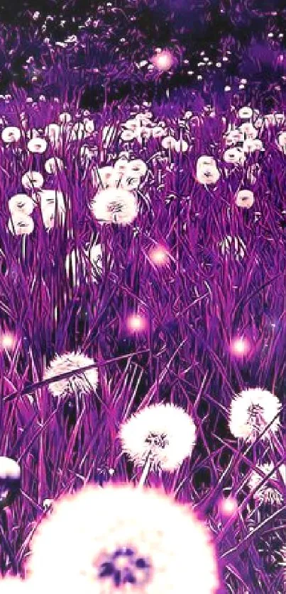 Vibrant purple dandelion field wallpaper.