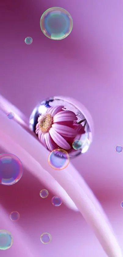 Purple mobile wallpaper with dewdrop and flower art.