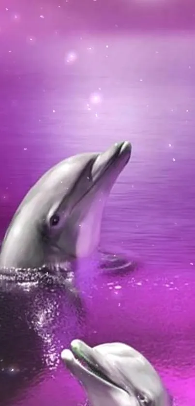 Purple dolphins swimming under a full moon.