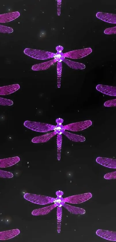 Purple dragonflies on black background wallpaper for mobile devices.