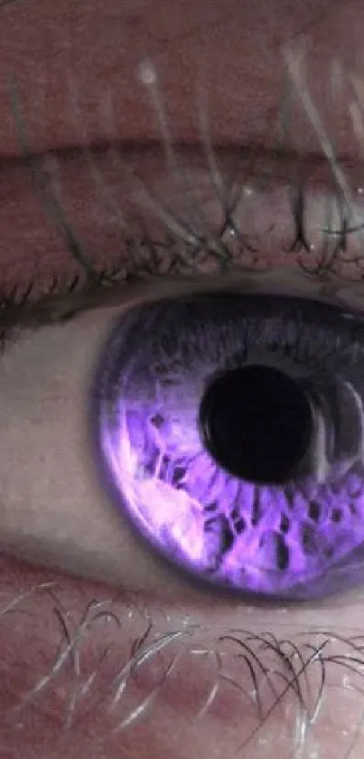 Close-up of a purple eye on mobile wallpaper.