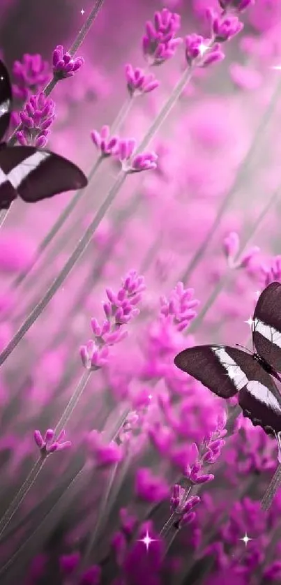 Purple flowers with butterflies, nature wallpaper.